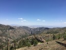 recent photo