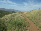 photo thumbnail #4