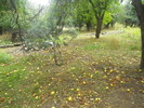 photo thumbnail #8