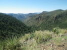 photo thumbnail #14