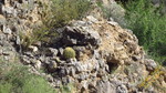 photo thumbnail #15