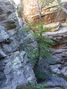 photo thumbnail #8