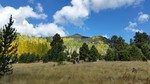 photo thumbnail #12