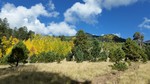 photo thumbnail #13