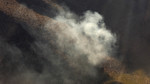 photo thumbnail #11