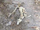 photo thumbnail #2