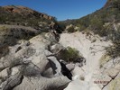 photo thumbnail #8