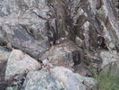 photo thumbnail #10