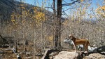 photo thumbnail #4
