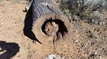 photo thumbnail #10