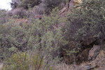 photo thumbnail #6