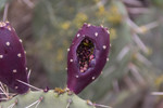 photo thumbnail #7