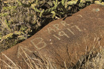 photo thumbnail #8