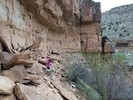 photo thumbnail #8