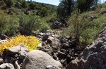 photo thumbnail #8