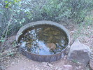 photo thumbnail #1