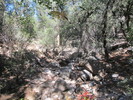 photo thumbnail #3
