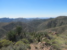 photo thumbnail #7