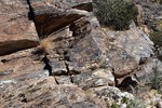 photo thumbnail #10