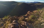 photo thumbnail #3