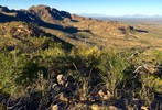photo thumbnail #5