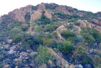 photo thumbnail #14