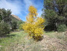 photo thumbnail #9