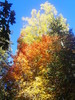 photo thumbnail #8