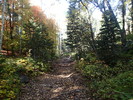 photo thumbnail #11