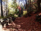 photo thumbnail #13