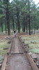 photo thumbnail #10
