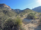 photo thumbnail #2