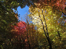 photo thumbnail #3
