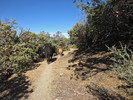 photo thumbnail #4