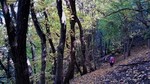 photo thumbnail #14