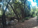 photo thumbnail #1