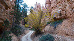 photo thumbnail #13