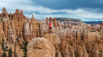 photo thumbnail #15