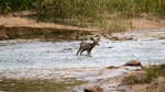photo thumbnail #12