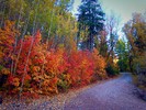 photo thumbnail #5