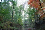 photo thumbnail #9