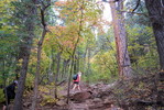 photo thumbnail #11