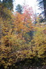 photo thumbnail #15