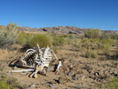 photo thumbnail #1