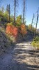 photo thumbnail #10