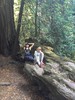 photo thumbnail #4