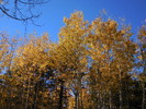 photo thumbnail #14