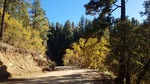 photo thumbnail #1