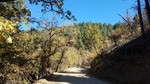 photo thumbnail #9