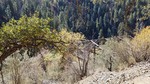photo thumbnail #13